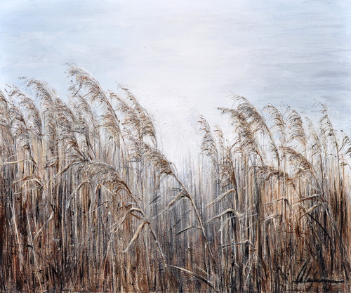 Annabelle Lanfermeijer + Lijnen in het riet